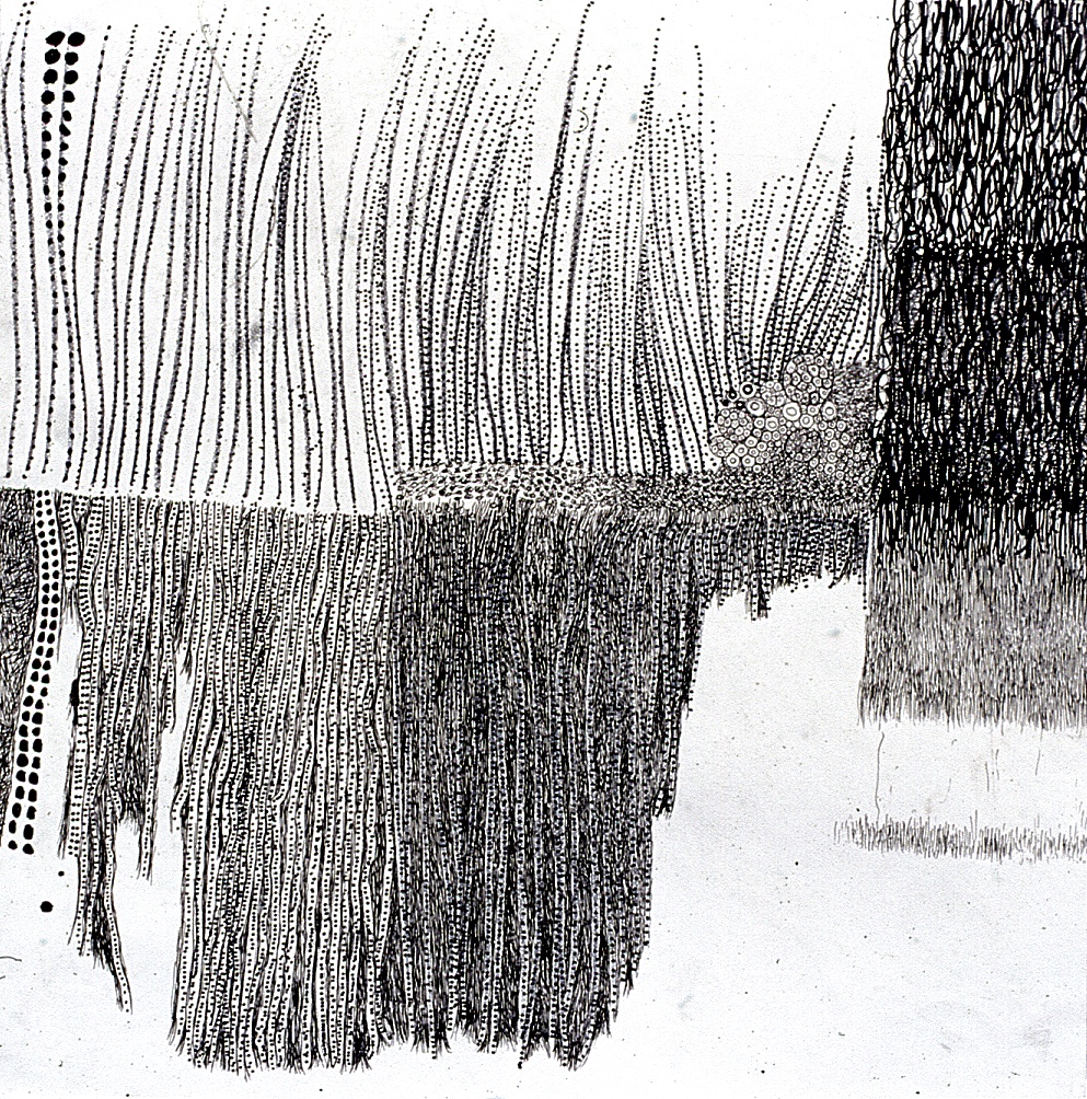 Markmaking VI