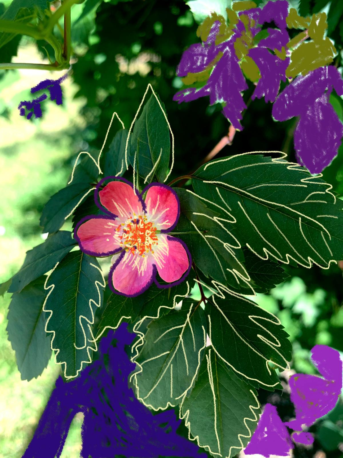 iPhone Drawing XLV